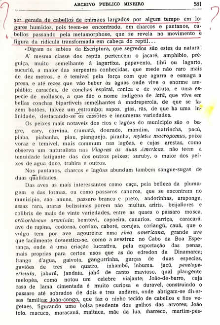 Chorografia Mineira � Vig�sima primeira parte